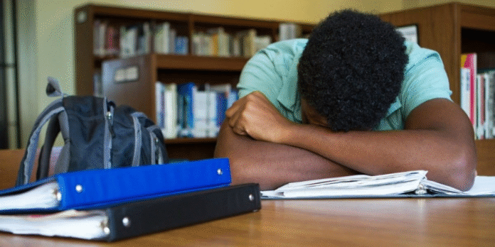 Student-2025