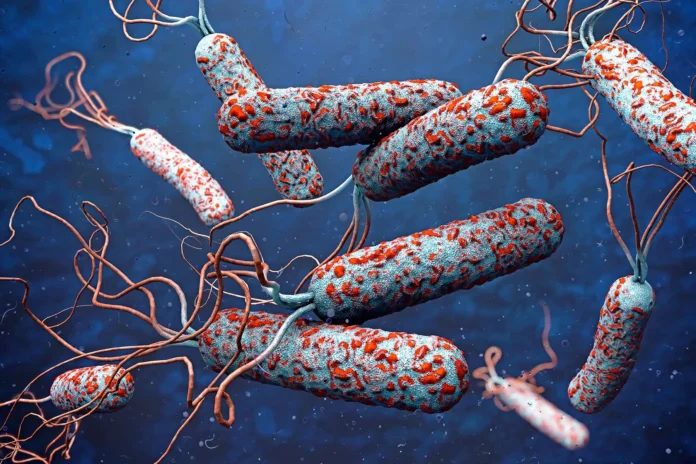 1800x1200-cholera-bigbead