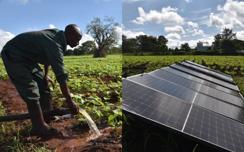 A farmer uses a mobile solar irrigation system on a farm in Mbeere South, Embu County, Kenya.