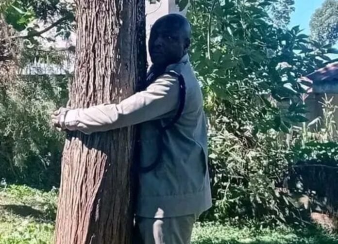 BeFunky-photo (86) A senior police officer in Kericho County was found hugging a tree at a police station