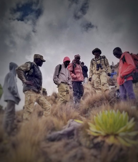 G-SteskX0AArg8I KWS reports the loss of life of Mr. Samuel Macharia Wanjohi, whose body was located. Mr. Wanjohi, a porter, was reported missing on December 23, 2025, while trekking along the Sirimon–Shipton route within Mt. Kenya National Park.