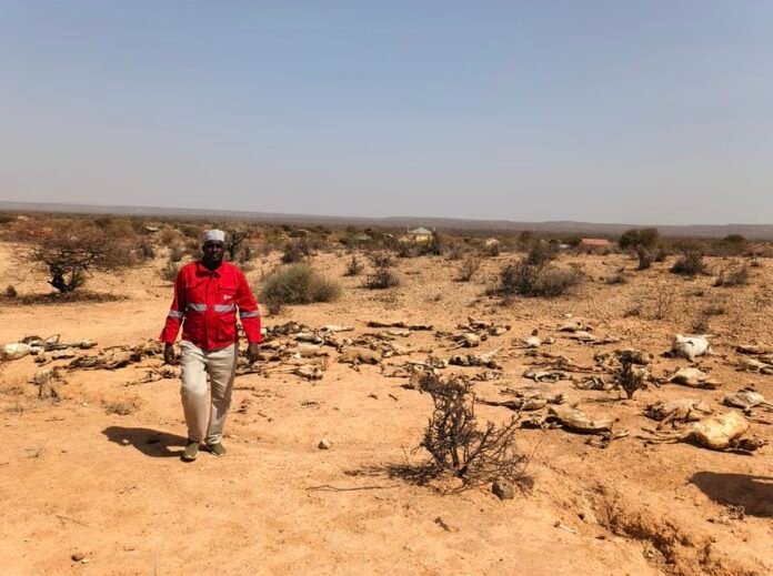 G-hcOxyXsAAvGrK Kenya Red Cross was in Mandera supporting affected communities.