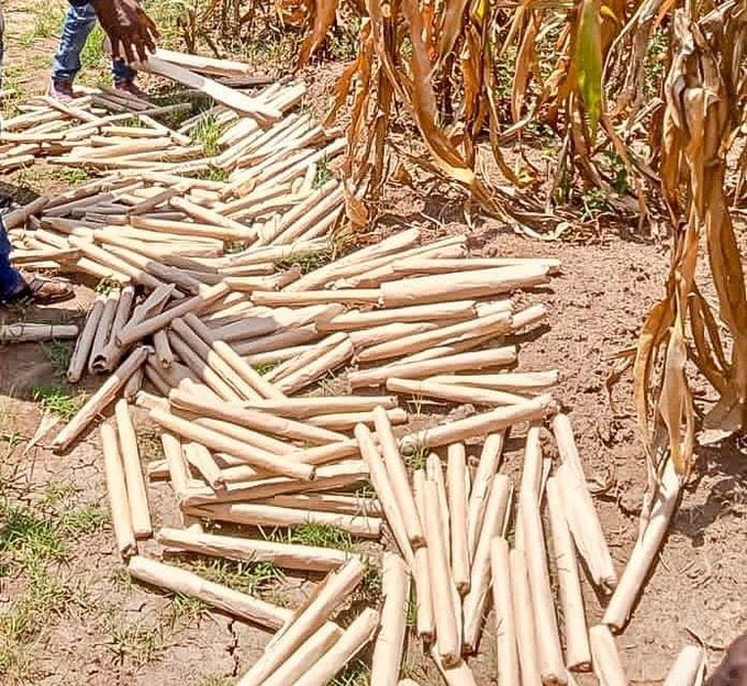 G-mYhAXawAALsHu Police have seized 243 rolls of bhang and a motorcycle in Kisii County as officers intensify operations against narcotics.