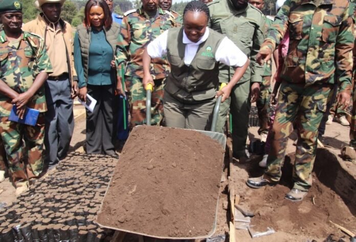 KFS CS Deborah Barasa inspects Kinale Forest Nursery in Kiambu County, calling on all forest stations to produce one million seedlings each to support Kenya’s 30% tree cover goal.