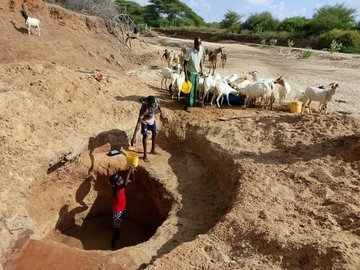 IMG_5061 Families in Tana North dig dry riverbeds to access water amid ongoing drought, while Kenya Red Cross provides food aid to 1,700 households.