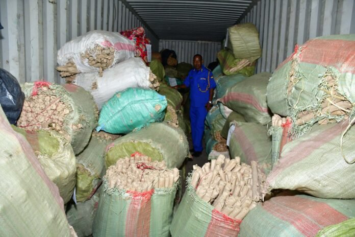 Seized narcotics displayed after being recovered from a trailer at the Port of Mombasa.