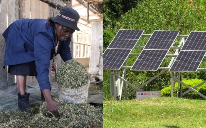 Nancy Runana (l), the co-founder of the Runa Farm, has invested in green technologies. Photo_MESPT Nancy Runana (l), the co-founder of the Runa Farm, has invested in green technologies. Photo_MESPT