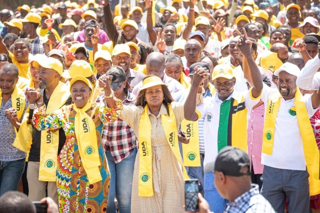 Mbeere North Ny-elections