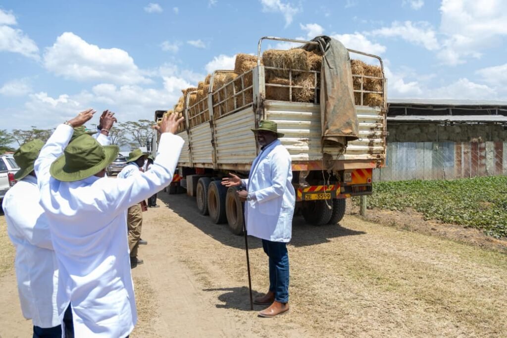 Public Service Cabinet Secretary Geoffrey Ruku and KALRO Director General Dr Eliud Kireger during the launch of the Strategic Animal Feed Centre in Ruku, an initiative aimed at cushioning livestock farmers from recurrent drought.