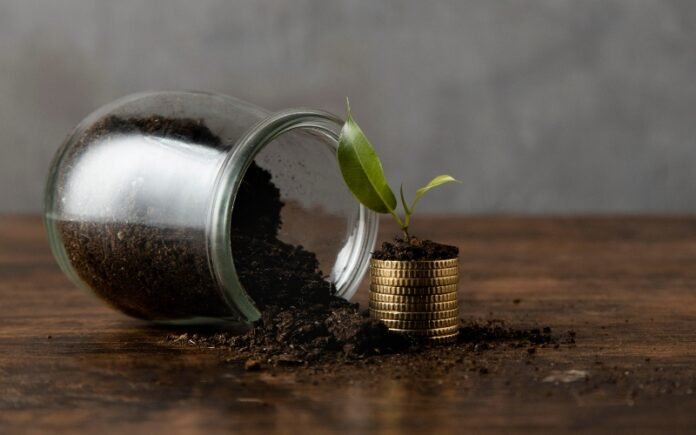 Unclear VAT treatment of carbon credits in Kenya raises compliance risks, investor concern, and calls for tax reform to support climate finance.