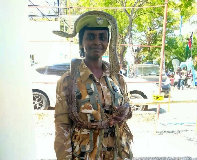 image Rukiya Mohamed has made history as the only female snake handler in Kenya’s Coast Conservation Area, redefining leadership, conservation and gender inclusion.
