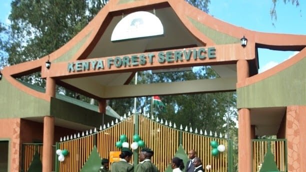 KFS Kenya Forest Service pledges full cooperation with detectives following Citizen Digital exposé on alleged sexual exploitation of women in Mt. Elgon Forest.