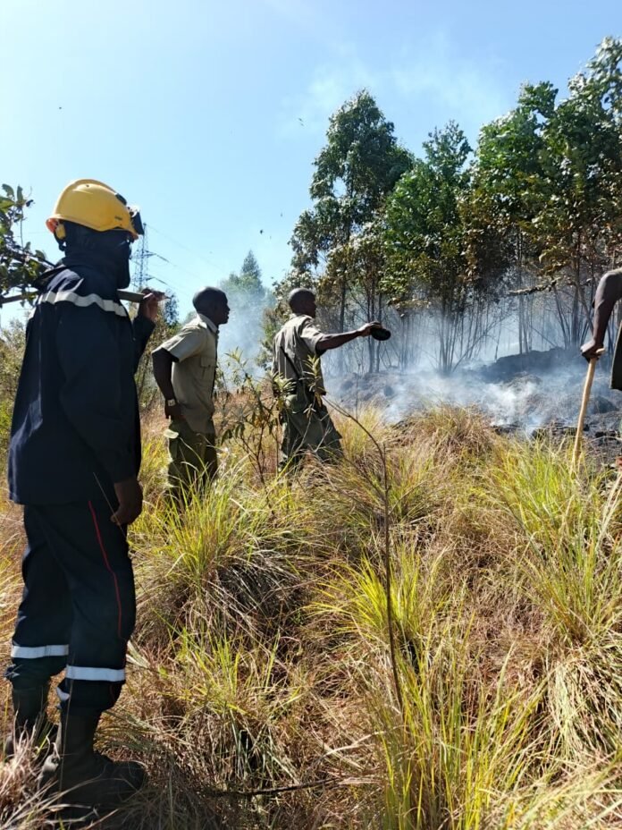 Firefighters Firefighters and rangers in Nakuru work to control forest fires during the current dry season.