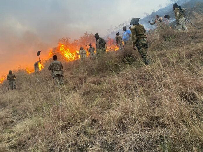 Fire Contained at Lake Nakuru National Park After Blaze Spreads from Estate