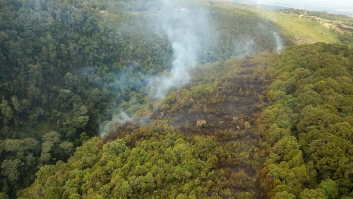 Aerial view of Ontulili Forest wildfire near Sirimon Gate, Mount Kenya, with smoke rising over steep slopes.