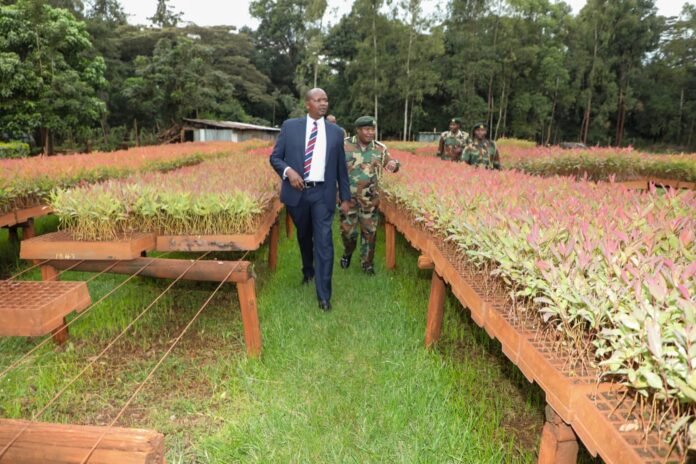 Image caption: Chief Conservator of Forests Alex Lemarkoko inspects the expanded tree nursery and barracks at Kenya Forest Service headquarters in Nairobi, which will produce two million seedlings annually to support the national tree-planting initiative.