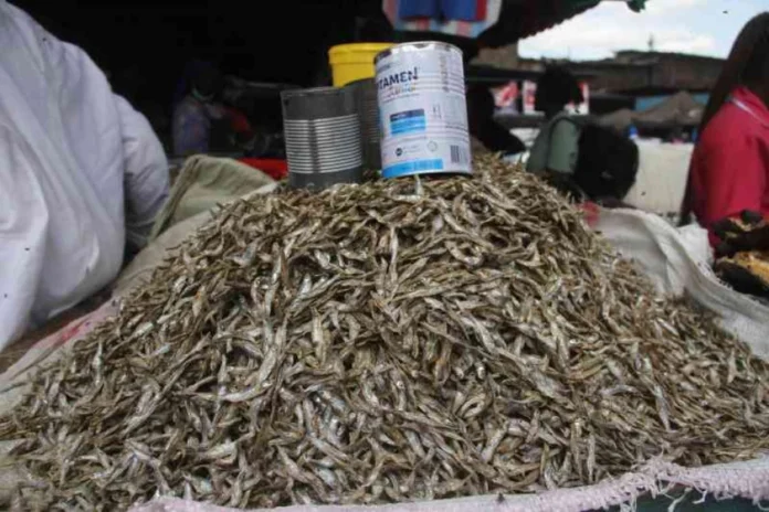 Omena-og_image Omena traders win court battle to dry their fish on Nyagina beach