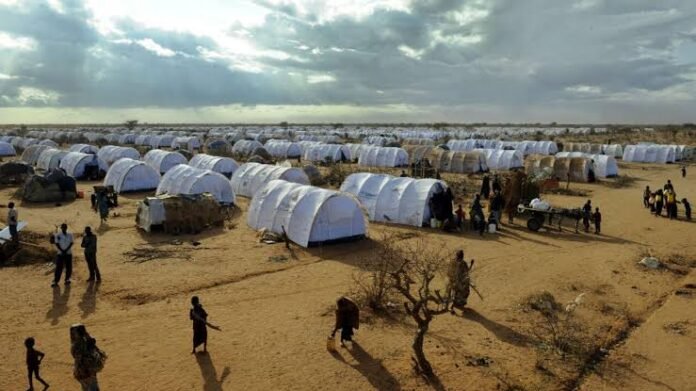 The Ifo 2 Camp in Dadaab, Garissa County.