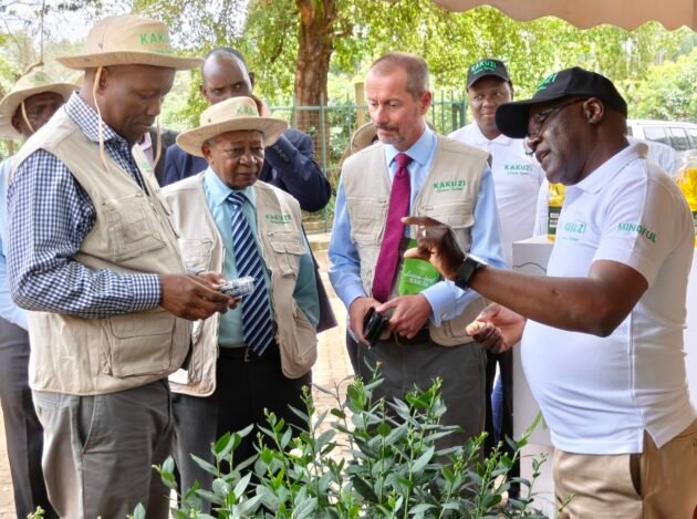 Kakuzi Kakuzi rebounds to Sh387.5M profit in 2025, driven by avocado, macadamia and blueberry growth, as it doubles dividend to Sh16 per share.