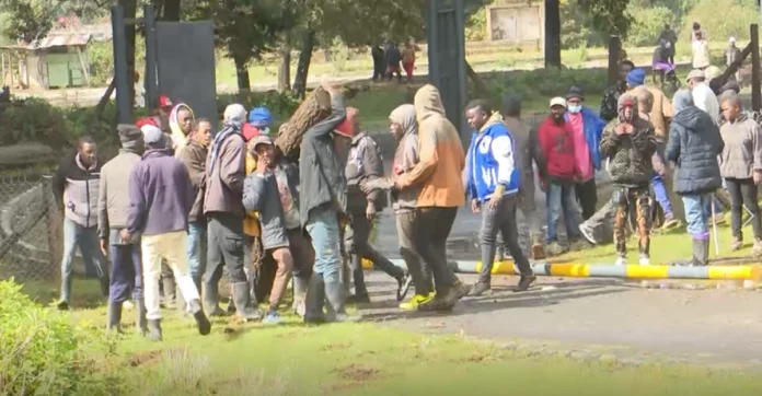 ceetry-og_image Magumu residents block Naivasha–Nairobi highway protesting a planned private cemetery near Soko Mpya Market in Kinangop, Nyandarua.