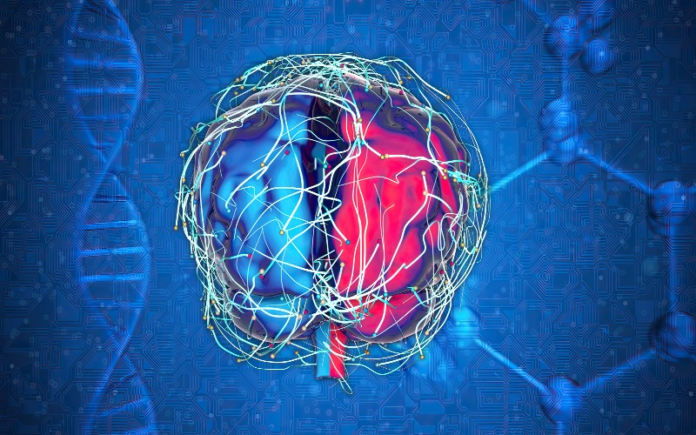 image Epilepsy causes repeated seizures due to abnormal electrical signals produced by damaged brain cells.