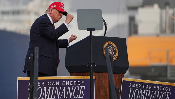 image United States President Donald Trump.