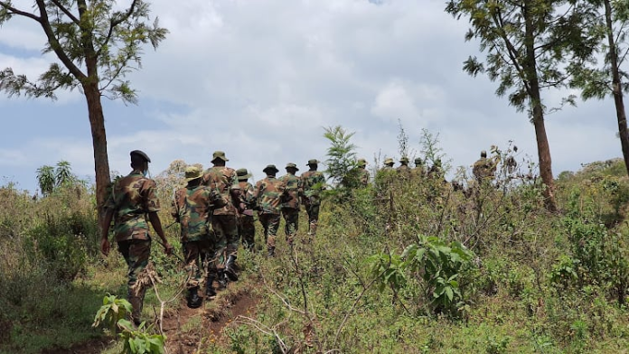 The Kenya Forest Service (KFS) has come under scrutiny after allegations emerged that some of its rangers pointed guns at a Member of Parliament during an incident in Baringo South.