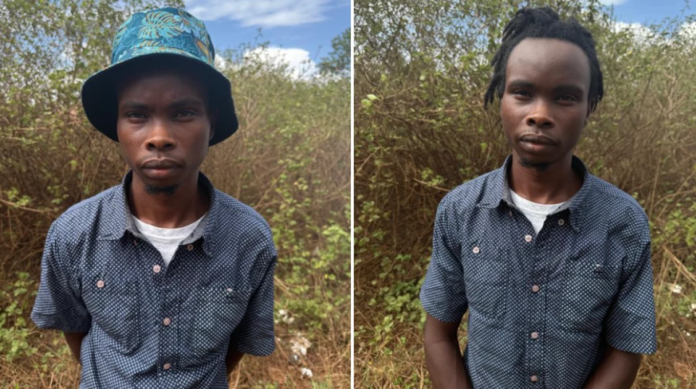 Menelik Kimani freed Peter Maingi Kimani, also known as Menelik Kimani, has been freed days after being arrested over a viral TikTok video in which he challenged President William Ruto and called for a battlefield confrontation.