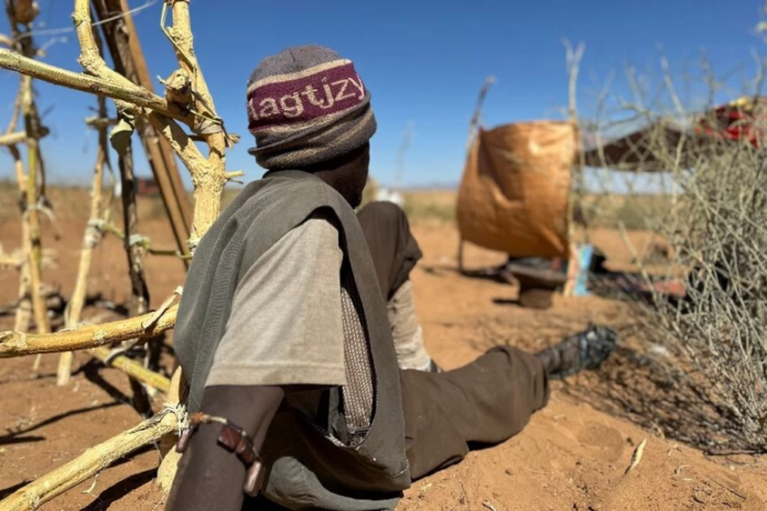 Thousands of people are estimated to have been detained in the Rapid Support Forces' (RSF) October takeover of North Darfur's El-Fasher, a battle that a UN investigation found bore the "hallmarks of genocide".