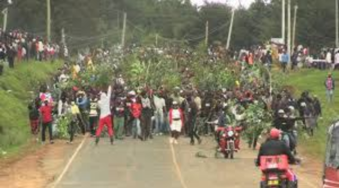 Laikipia University student tragedy Laikipia University Students Protest Death of First-Year Student After Hiking Tragedy