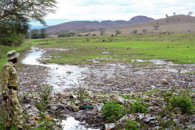 Lake Nakuru fish KWS warns KWS warns Kenyans against consuming fish from Lake Nakuru, citing pollution risks and potential health dangers as contaminated fish spread nationwide.