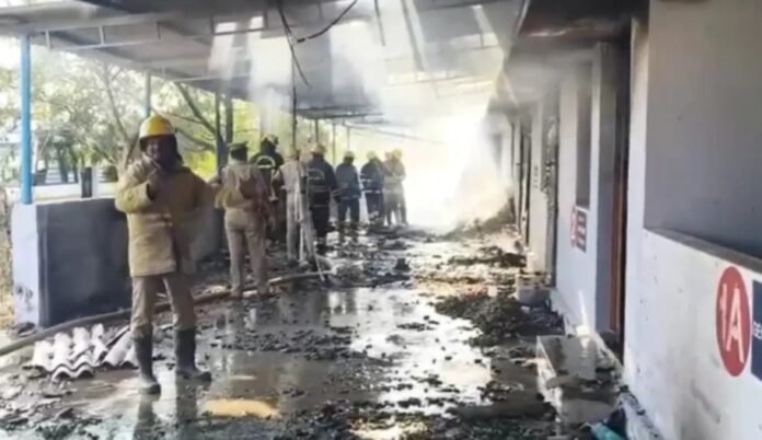 Firecracker Factory Explosion 25 Dead in Firecracker Factory Explosion