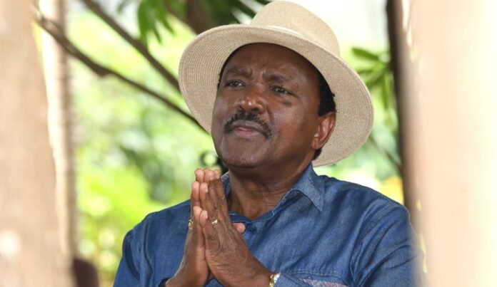 Kalonzo Pens A Letter to Pope Leo Ahead of Apostolic Visit to Africa
