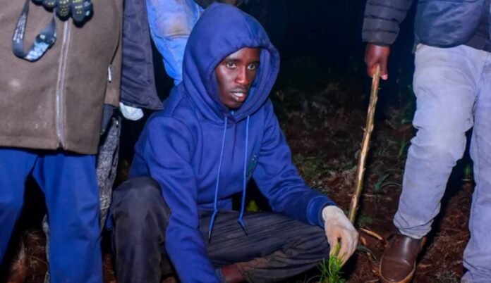 Kibiwott Plants 23,326 Trees in 24-Hour Guinness Record Attempt