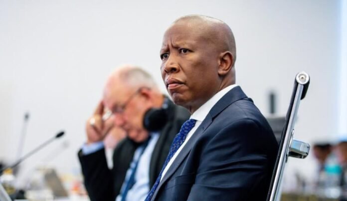 Malema Malema Handed 5-Year Jail Term Over 2018 Gunfire Incident