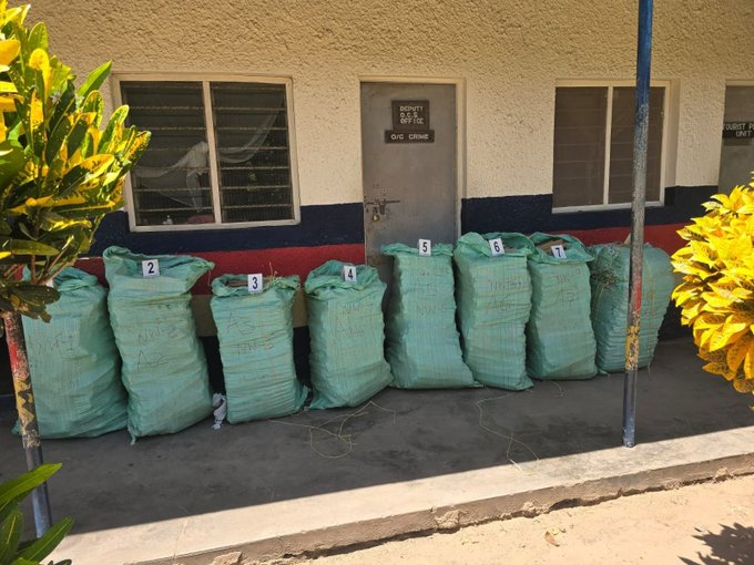 Suspect Arraigned After 255kg Cannabis Seized in Kilifi Raid A suspect arrested with 255kg of cannabis in Kilifi is arraigned in Malindi court, granted Sh2 million bond as DCI intensifies anti-narcotics crackdown.