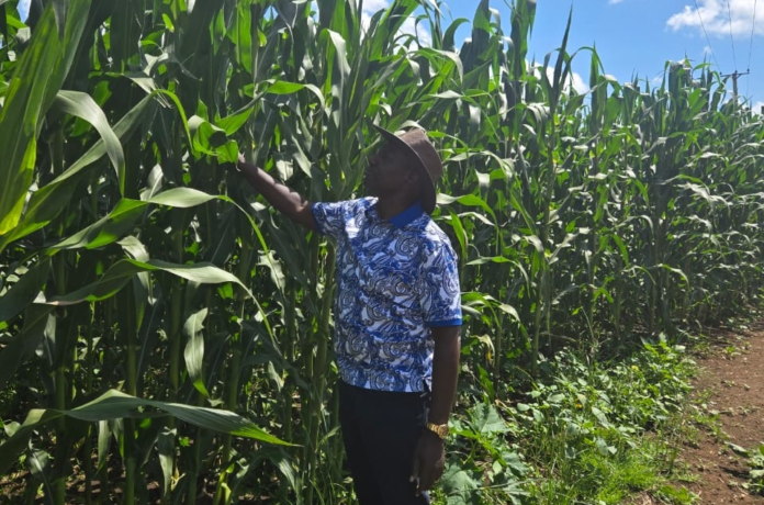 image President Ruto urges Africans to embrace farming, saying agriculture will produce the continent’s next billionaires amid rising population and food demand.