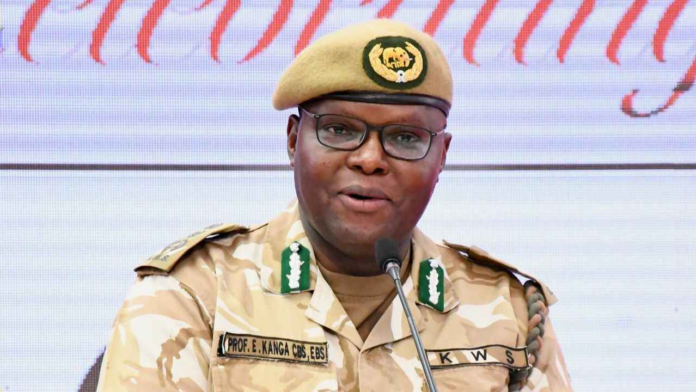Kenya Wildlife Service (KWS) Director General Erastus Kanga KWS Director General Erustus Kanga faces arrest threat after skipping three parliamentary sittings on human-wildlife conflict concerns.