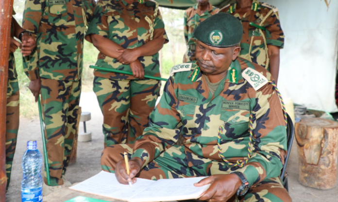 KFS disciplines two rangers after a suspect arrested for illegal logging dies, raising concerns over use of force and accountability.