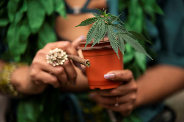 image The US plans to reclassify marijuana in a major policy shift that could ease research limits, cut taxes, and boost cannabis stocks.