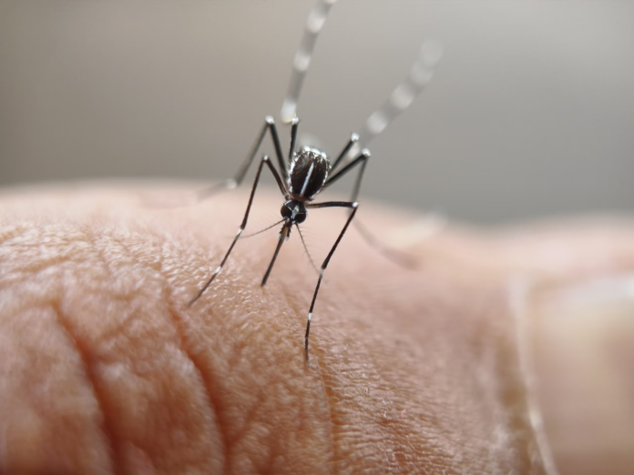 image WHO prequalifies first malaria treatment for newborns, improving care for infants as new diagnostic tools tackle rising detection challenges.