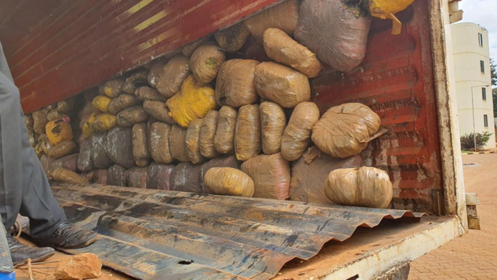 New Security Camp Built at Marsabit–Wajir Border to Curb Trafficking Government launches multi-agency security camp in Eldas near Marsabit–Wajir border to combat drug and human trafficking along northern Kenya routes.