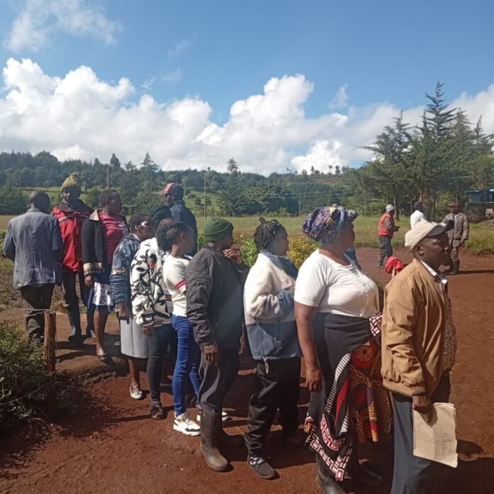 Ol Kalou Nominations Wangenye Ndung’u Decries Low Turnout in Ol Kalou UDA Nominations