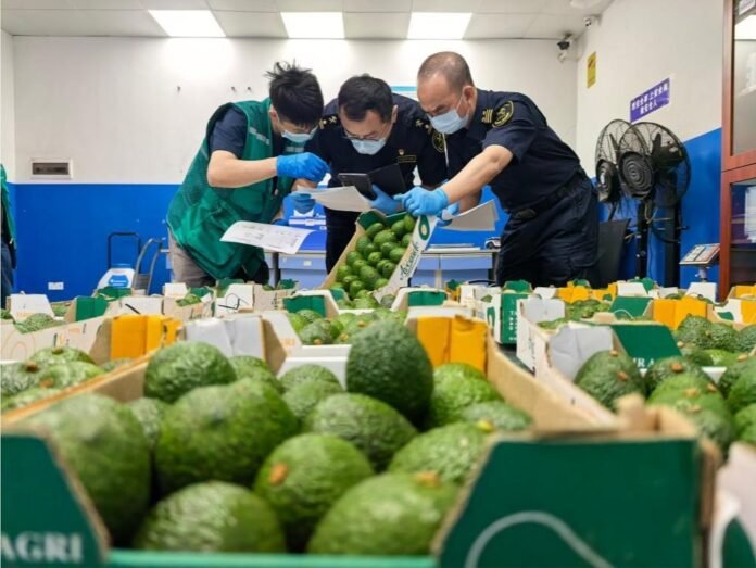 China has received the first Kenyan exports under its zero-tariff policy, including avocados, avocado oil, coffee and green beans.