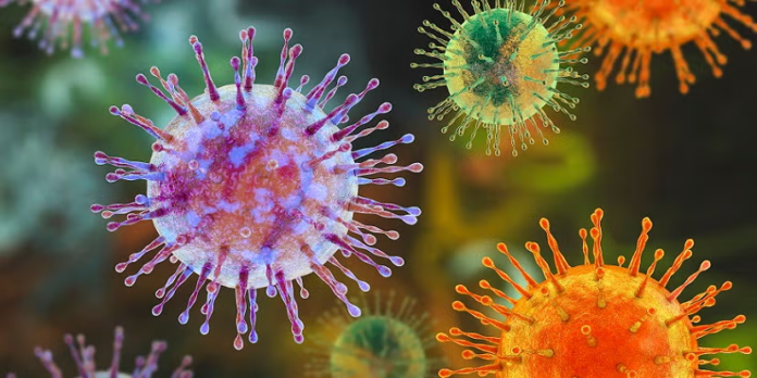 Kenya’s Ministry of Health has issued a hantavirus public health advisory following an outbreak linked to a cruise ship in the Atlantic Ocean.