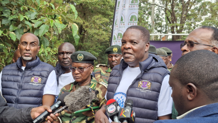 EACC warns land grabbers in Kenya as courts uphold Karura Forest recovery, restoring 18 acres worth Sh2.8B after decades-long dispute.