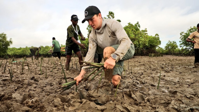 image Antoine Moses has set a new world record in Mombasa after planting 47,460 mangrove propagules in 24 hours at Tudor Creek, Kenya.