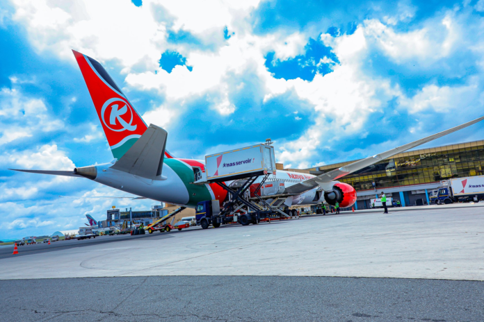 Kenya Airways says one of its aircraft was grounded in Cape Town after a bird strike damaged the plane’s radome during landing.