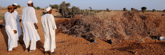 image The UN has warned Sudan’s conflict is entering a deadlier phase as drone attacks kill hundreds of civilians and worsen displacement and famine risks.