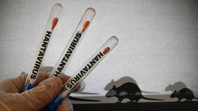 Hantavirus patient recuperating in South Africa South Africa says a British man infected during the hantavirus outbreak aboard the MV Hondius cruise ship is gradually improving in hospital.